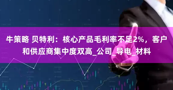 牛策略 贝特利：核心产品毛利率不足2%，客户和供应商集中度双高_公司_导电_材料
