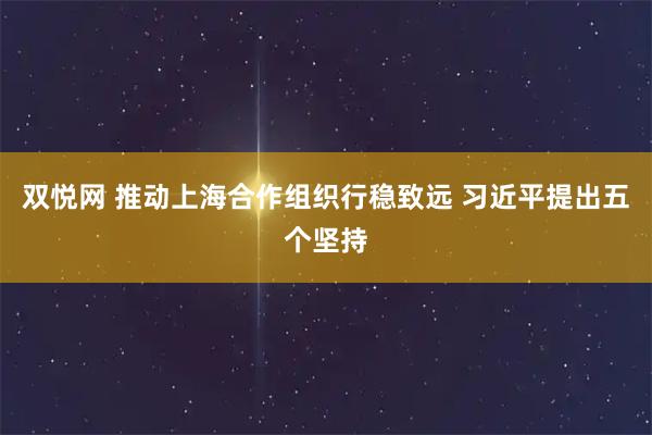 双悦网 推动上海合作组织行稳致远 习近平提出五个坚持